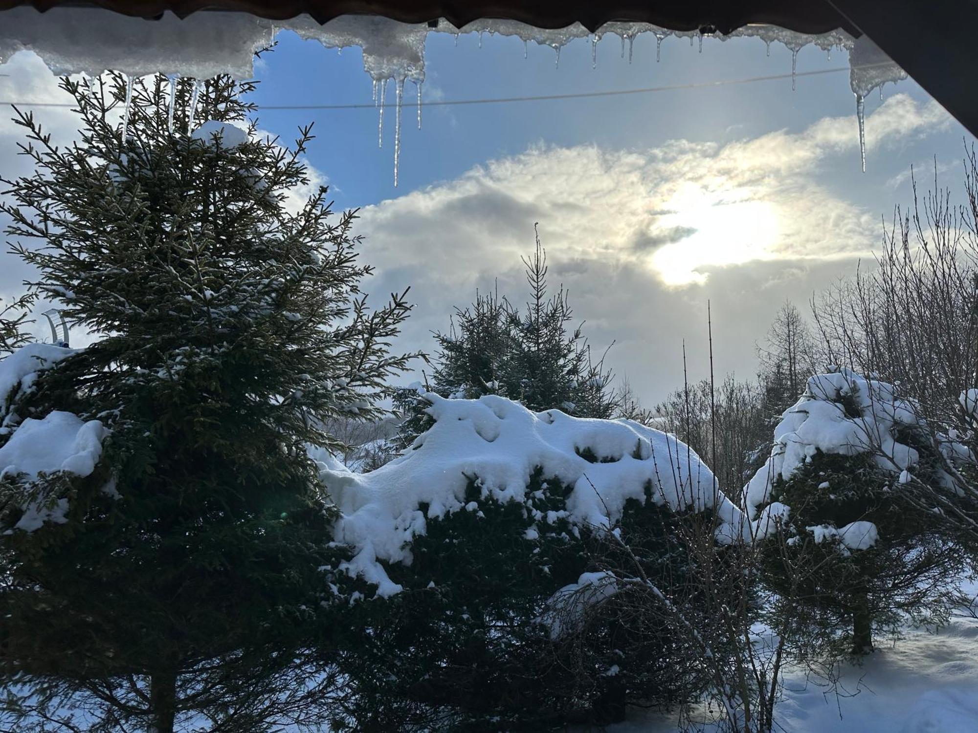 Urocza Chata Z Sauna W Bieszczadzkim Parku Krajobrazowym Bukowiec (Podkarpackie) Exterior foto
